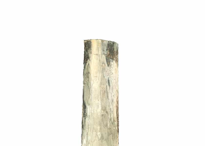 Pressure Treated Wood Post | 5-6 in. X 10 ft. | Bundle Priceing