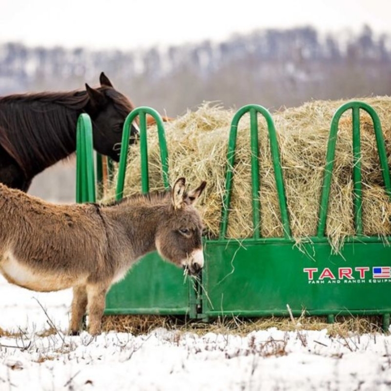 Tarter Equine Flex Feeder - Bear River Valley Co-op