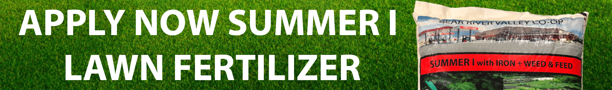 Summer I lawn fertilizer with iron and weed and feed