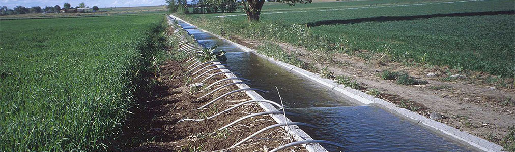 Siphon tubes for irrigation.